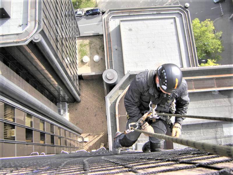 Loftnets,Leon De Oro,8888332634